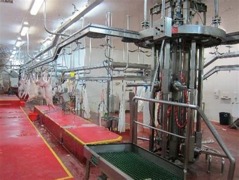 Image result for Field Beef Processing