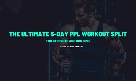 Image result for push pull legs split workout