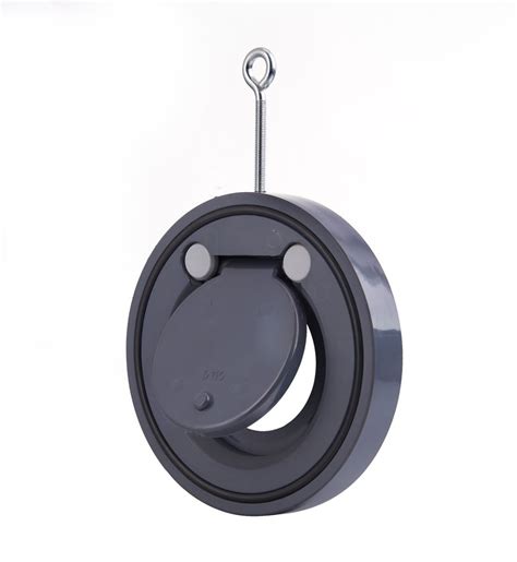 China PVC Wafer Check Valve - China Flap Valve, Wafer Swing Check Valve