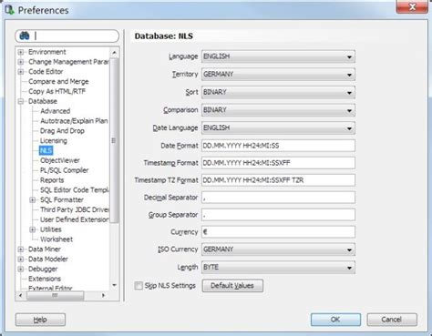Image result for Oracle SQL Developer Date Format