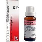 Buy Dr. Reckeweg R19 Glandular Drops for Men -22 ml (Pack of 1) Online ...