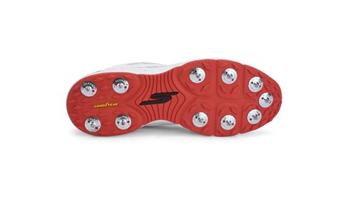 Skechers enters cricket footwear market in India - FashionNetwork India