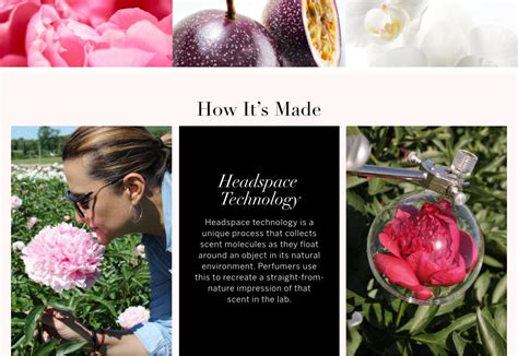 Buy Bombshell 100ML Small Eau de Parfum Online - Style ID: 667554672024 ...