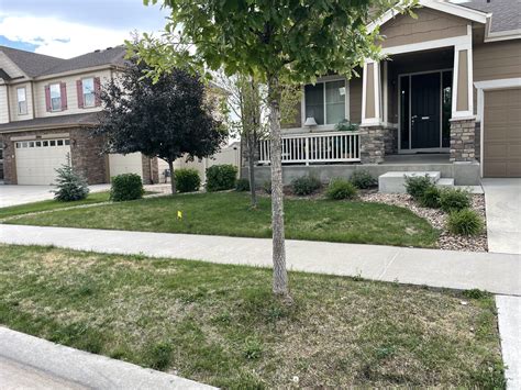 Parker, CO Cannabis Rental | Parker, CO 420 Rental | BEDROOM, OFFICE ...