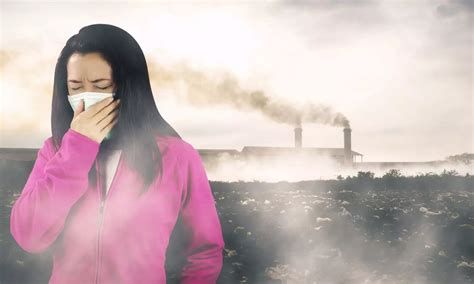 Study: Long-Term Air Pollution Exposure May Trigger Brain Tumours