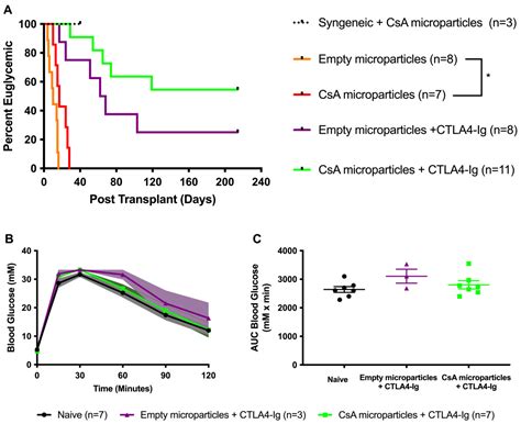 Long-Term Survival and Induction of Operational Tolerance to Murine ...