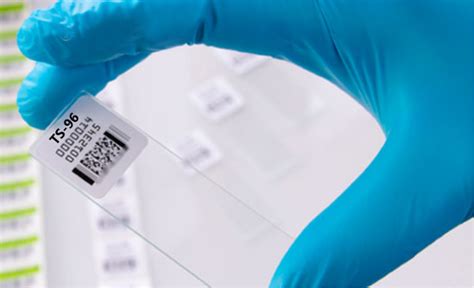 Color Code Microscope Slides 的图像结果