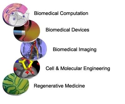 Bioengineering Processes 的图像结果