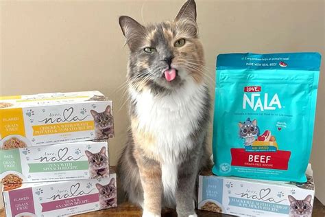Air-Dried Cat Food: Optimal Nutrition Path | Love Nala