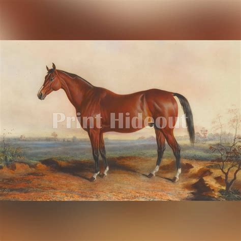 Lexington Famous Race Horse and Nineteenth Century Stallion - Vintage Painting - Etsy