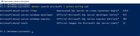 Image result for Install MS SQL Express Docker Windows