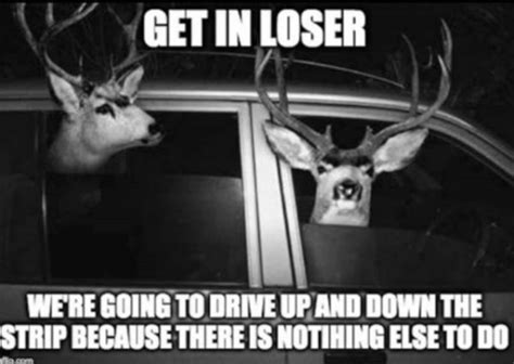 Hometown Local Memes 的图像结果