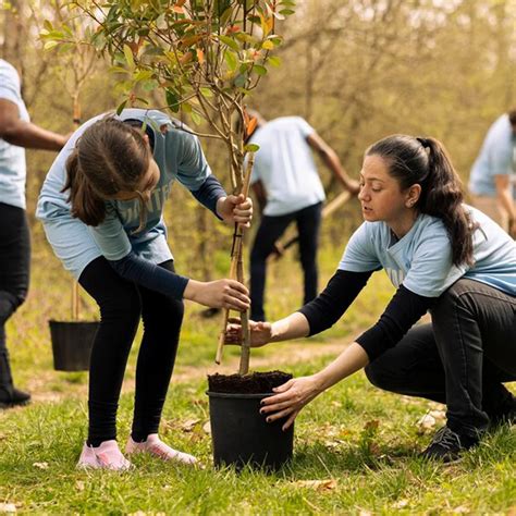 Image result for Tree-Planting Program Example