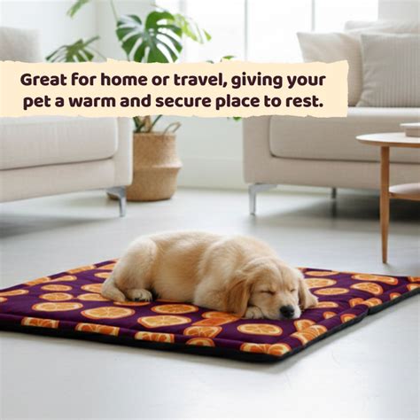 BearHugs Anti Skid Pet Mattress (Multicolour)