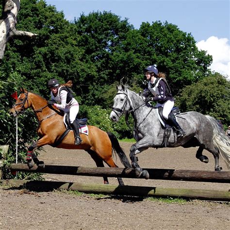 MOUNT MASCAL STABLES (2025) All You Need to Know BEFORE You Go (with ...