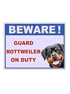 999Store office supplies sunboard beware of dogs sticker signage sign ...