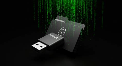 Anonibs: Exploring the Digital World of Anonymity and Sharing