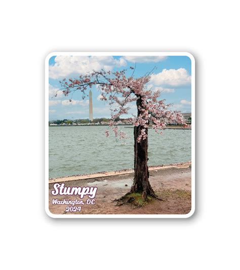 Image result for Stumpy Logo