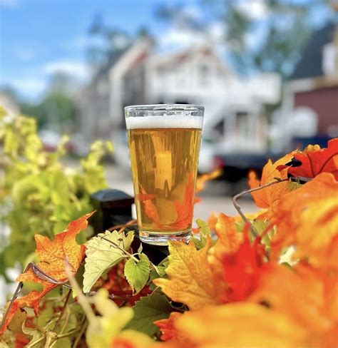 Bearded Lamb Brewing Company | Great Beer. Good Vibes.