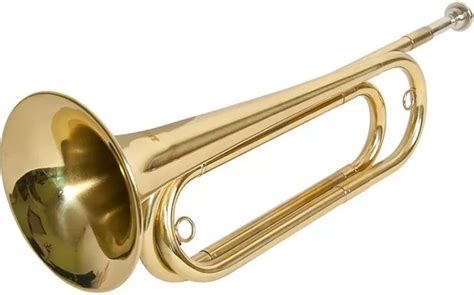 What Is The Bugle? Complete Guide To History, Sound & Playing ...