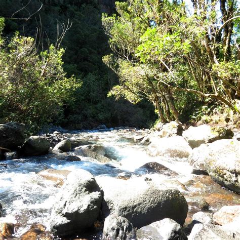 THE GOBLIN FOREST (2026) All You Need to Know BEFORE You Go (with ...