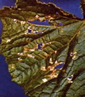 TNAU Agritech Portal :: Crop Protection