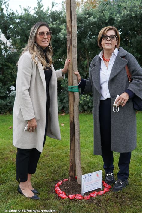 UNA PIANTA COME SIMBOLO DELLA LOTTA ALLA VIOLENZA SULLE DONNE - Gaeta News 24