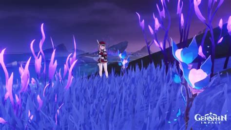 Genshin Impact Amakumo Fruit: Where To Find & How To Use