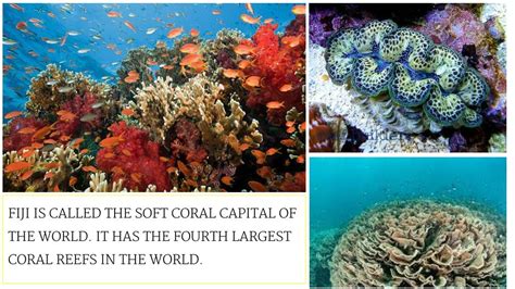 PPT - Top interesting facts about fiji PowerPoint Presentation, free ...