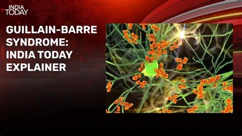 Slain IAS officer's wife, daughter oppose Anand Mohan's release, seeks ...