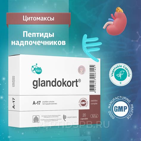 Гландокорт 20 капсул — натуральные пептиды надпочечников