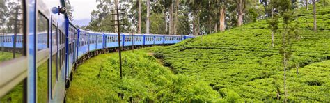 Trip to Sri Lanka in Diwali for 07 Nights & 08 Days – Lapwing Vacations