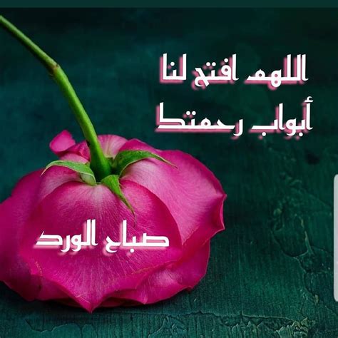 840 Sabah al khair ideas | good morning arabic, sabah, good morning images