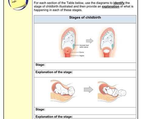 Labor 的图像结果
