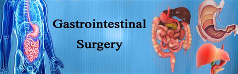 Liver Transplant in Jaipur, Liver Transplant surgeon in Jaipur ...