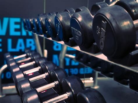 Gym Dumbbells 的图像结果