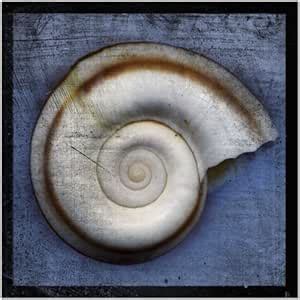 SMART ART - 'Snail' by John W. Golden - Fine Art Print 12x12 inches ...