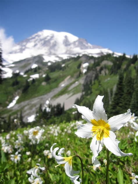 Emily Humphreys receives education grant! - Tribble Lab