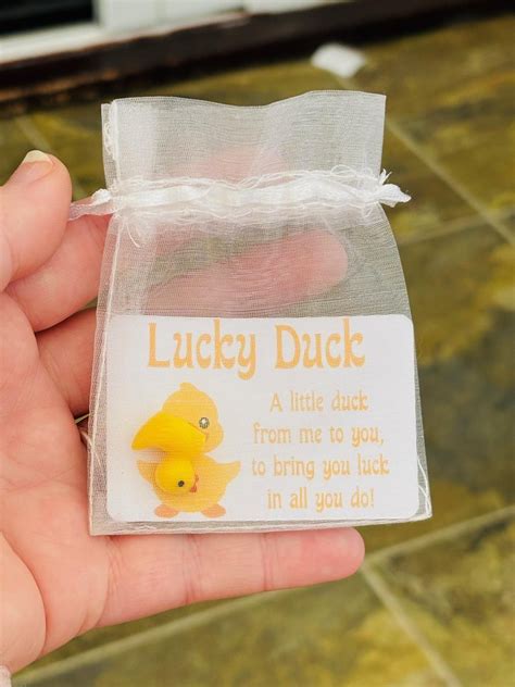 Lucky Duck Gift: Novelty Good Luck Charm - Etsy in 2025 | Duck gifts ...