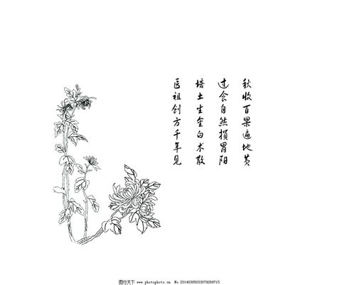 唐诗中描写菊花的诗-