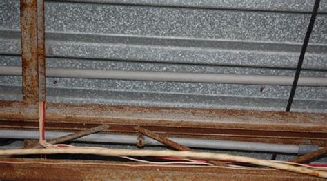 Image result for PVC Electrical Conduit Install