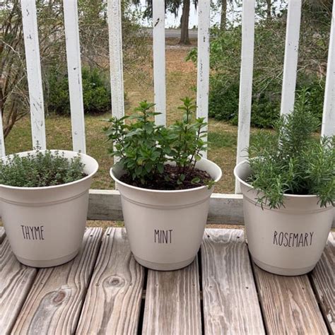 Image result for Round Sticker for Injuries