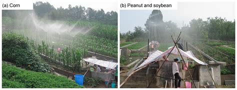 Investigation of Runoff and Sediment Yields Under Different Crop and ...