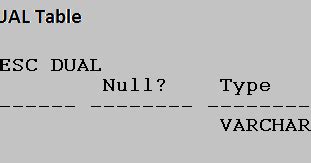 Image result for Dual Table Oracle