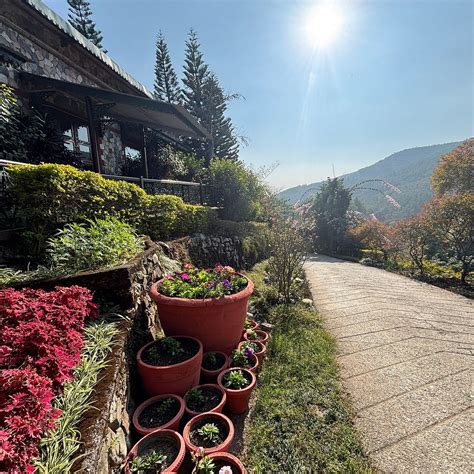 TREE OF LIFE RESORT, DEHRADUN FOOTHILLS - Hotel Reviews, Photos, Rate ...