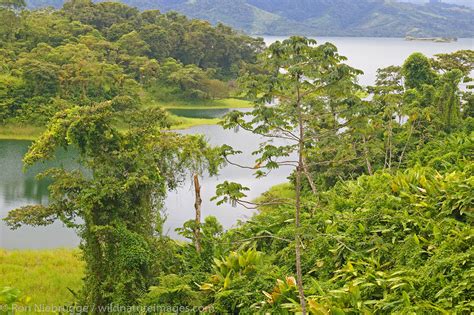 Lake Arenal | Costa Rica | Photos by Ron Niebrugge