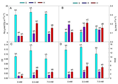 Soil Nitrification Rate Is Affected by Plant Species and Nitrogen Levels