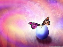 Image result for Cute Easter Butterfly Wallpaper