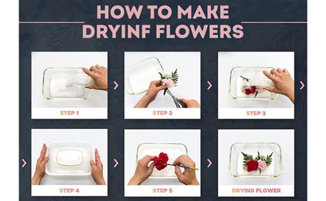 Buy R H Lifestyle Silica Gel for Preserving Flower Drying (500 Grams ...