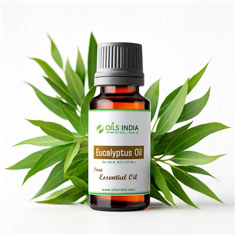 Eucalyptus Oil: Top 5 Benefits for Health and Wellness – Oils India
